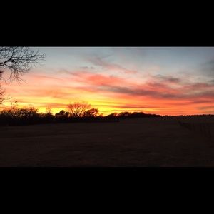 Meet your Posher, Serina